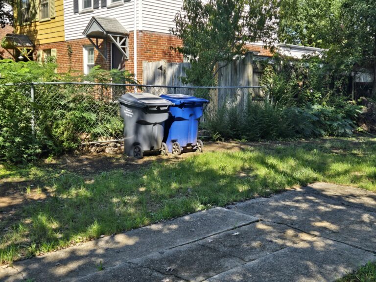 Resized_20240928_113325_1727537636996